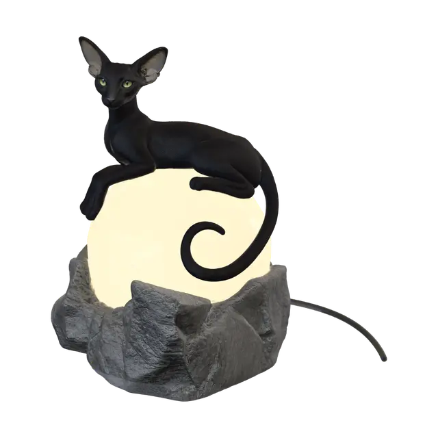 3D model for 