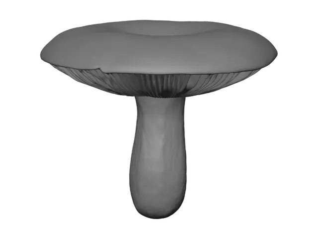 3D model for 