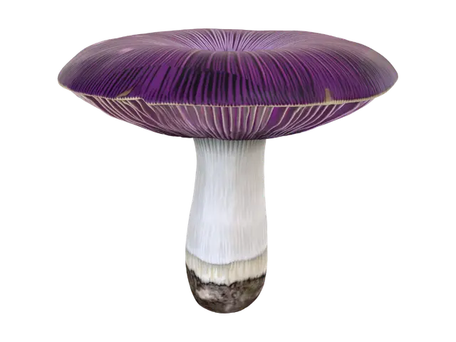3D model for 
