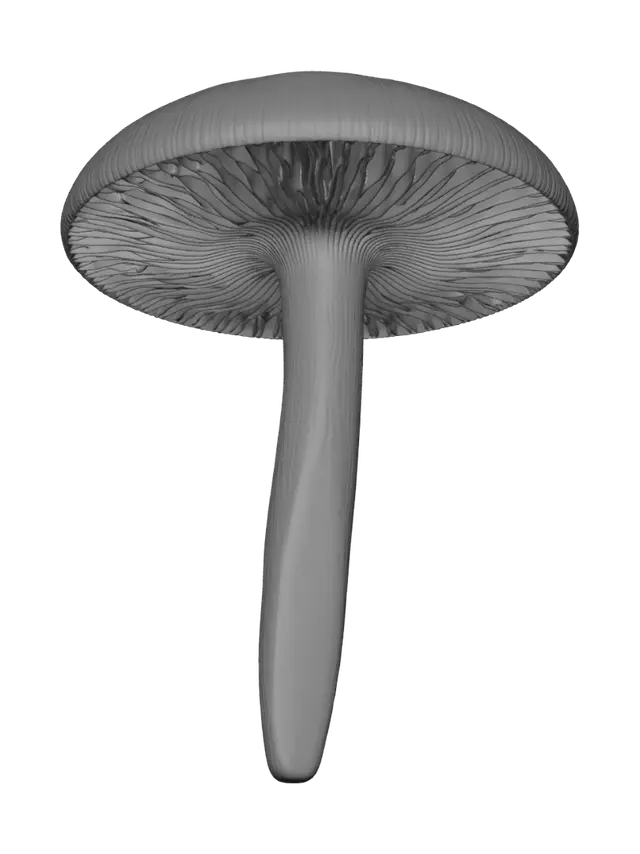3D model for 