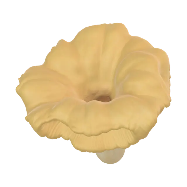 3D model for