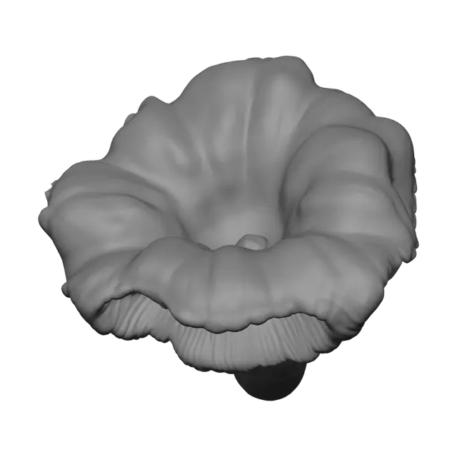 3D model for