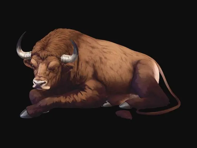 3D model for Aurochs