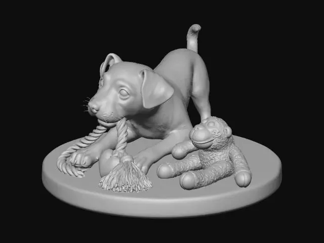 3D model for Puppy Playtime with Toys