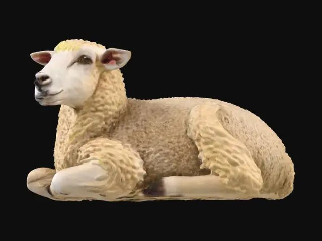3D model for sheep laying