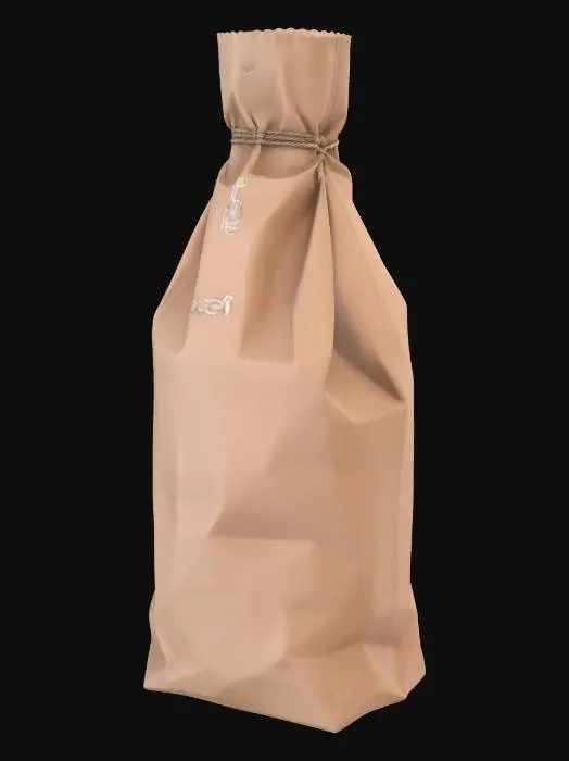 3D model for Bottle shaped brown paper bag