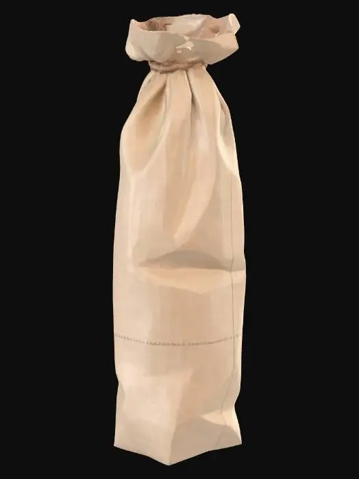 3D model for Bottle shaped brown paper bag