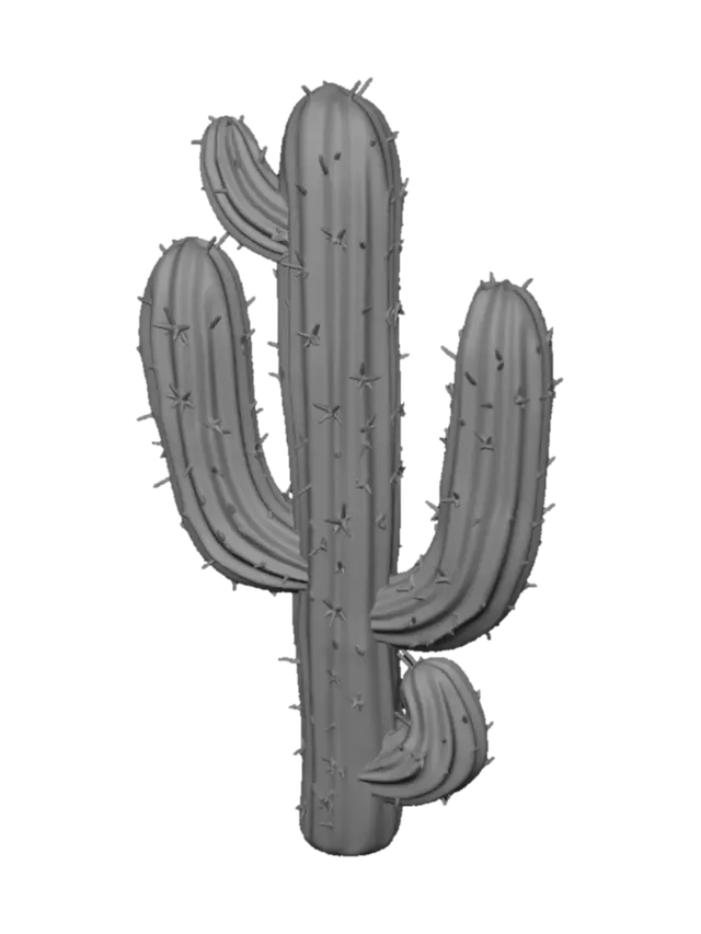 3D model for Scarlet Desert Cactus