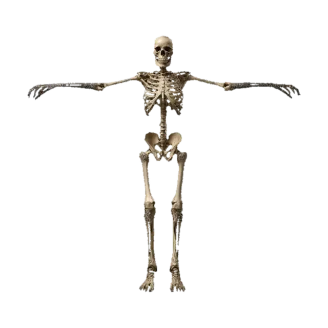Skeleton Pose - Skeletal 3D model, vytvořený pomocí AI