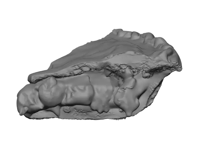 3D model for Cherry Pie Slice