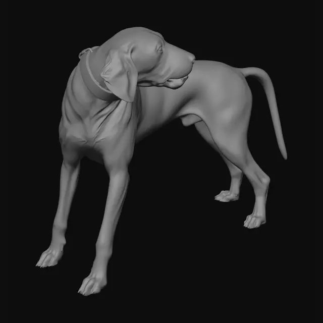 3D model for Red Collar, Grey Horizon
