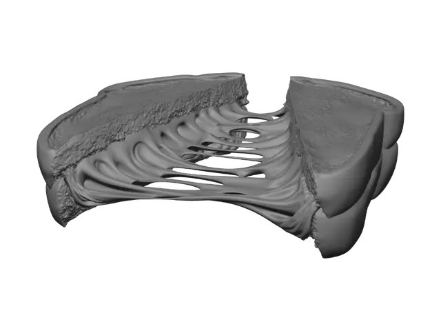 3D model for