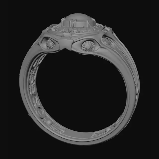 3D model for Celestial Lattice Ring
