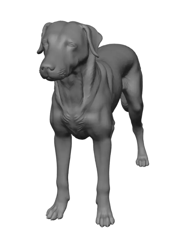 3D model for Golden Profile