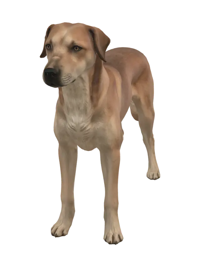 3D model for Golden Profile