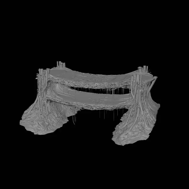 3D model for Bridge of Living Roots