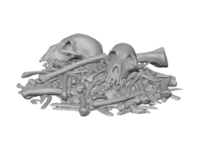 3D model for Remnants of Time
