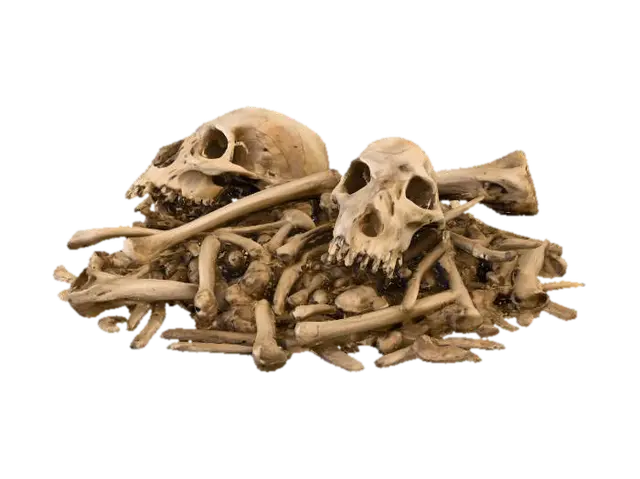 3D model for Remnants of Time