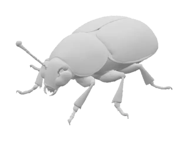 3D model for A small, stylized beetle, its robust, segmented carapace gleaming with an extraordinary iridescent sheen, shifting from deep emerald green to sapphire blue and fiery bronze as light catches its surface. The material appears to be a highly polished, hard metallic alloy, giving it a smooth yet incredibly rigid feel. Its delicate antennae and segmented legs also possess this lustrous finish, suggesting a creature of both natural form and precious, sculpted artistry.