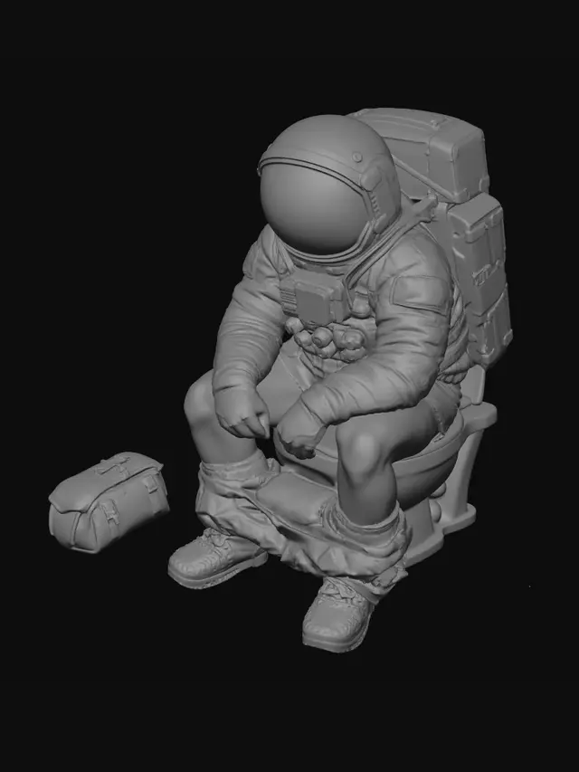 3D model for Cosmic Toilet Break