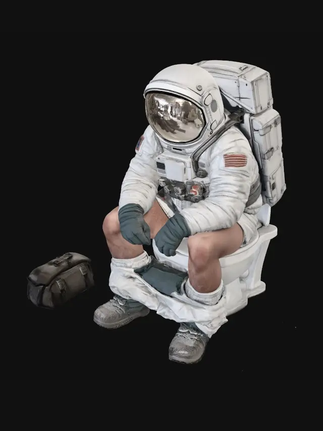 3D model for Cosmic Toilet Break