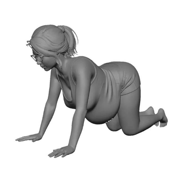 3D model for Pregnant Woman