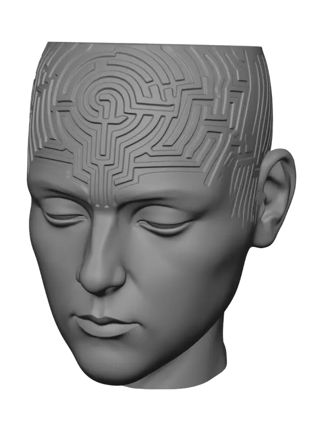 3D model for Mind's Labyrinth