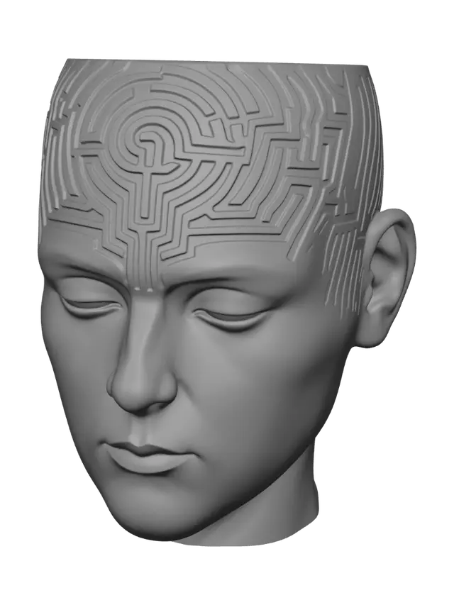 3D model for Mind's Labyrinth