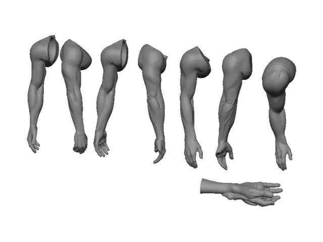 3D model for Rechter Arm – Referenz für 3D-Modellgenerierung