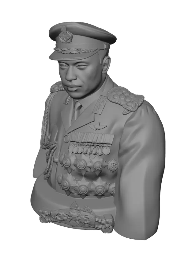 3D model for Decorated Officer Portrait