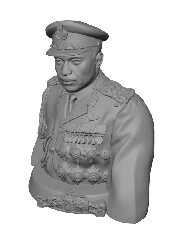 3D model for Decorated Officer Portrait