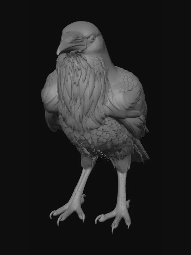 3D model for Midnight Raven