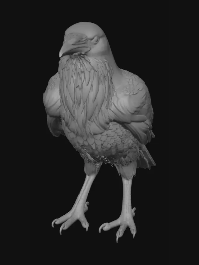 3D model for Midnight Raven