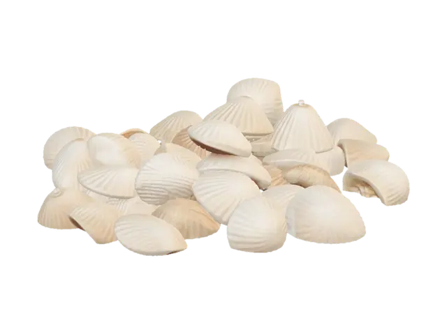 3D model for Небольшая кучка светлых ракушек у воды. Низкая, асимметричная, слегка разбросанная, с песочным настроением. в милом стиле под мультяшную игру
