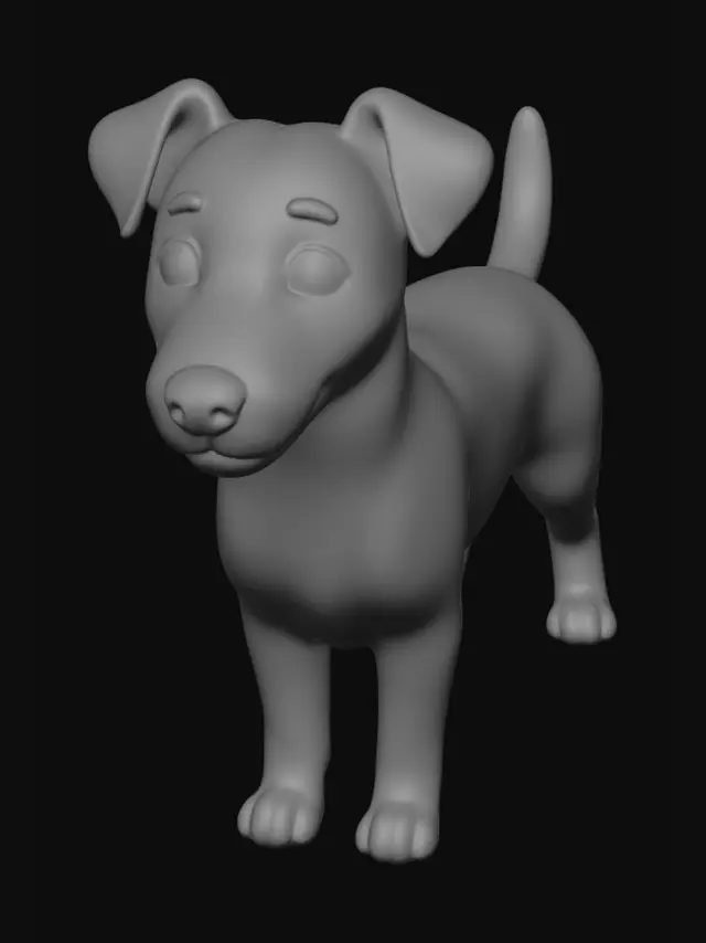 3D model for Patches
