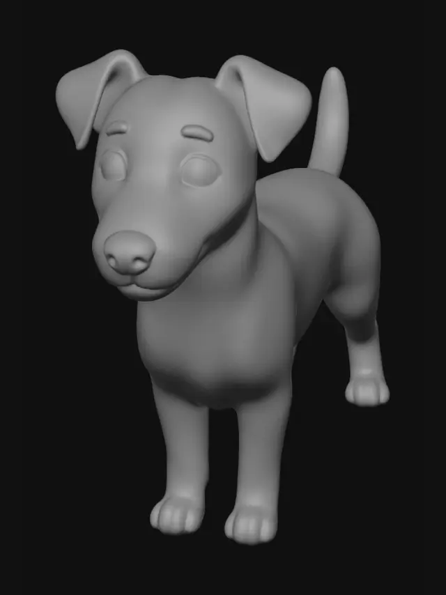 3D model for Patches