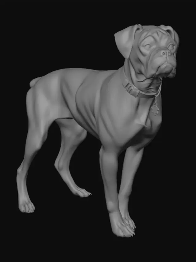 3D model for Brindle Beauty