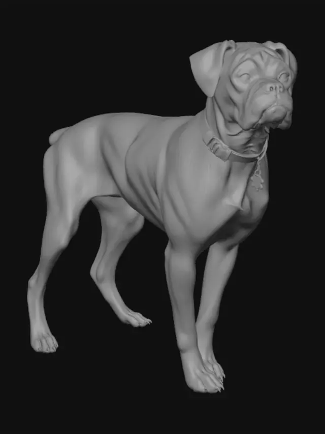 3D model for Brindle Beauty