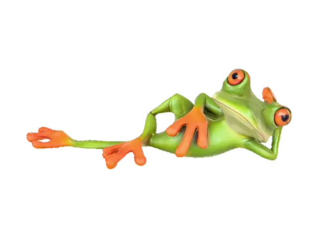 3D model for Relaxing Frog