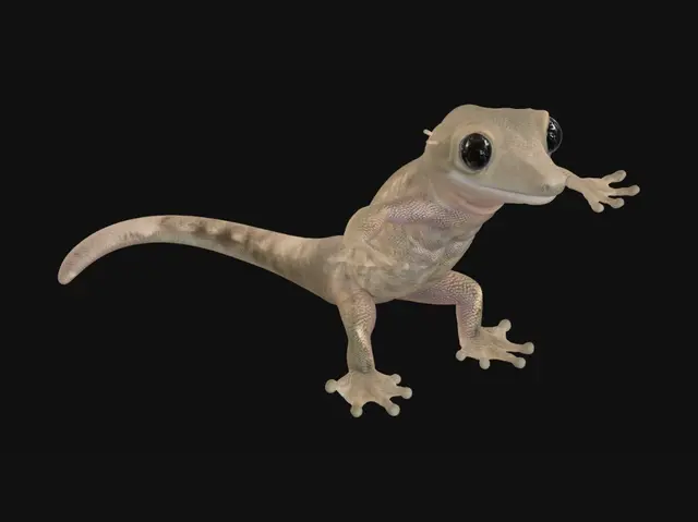 3D model for T Pose Gecko