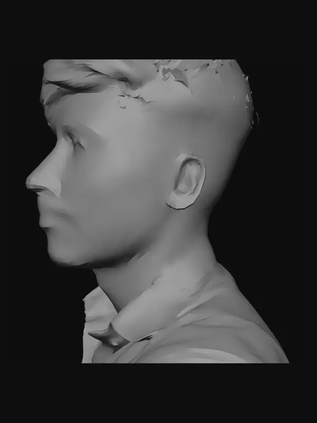 3D model for Sunlit Portrait Mosaic