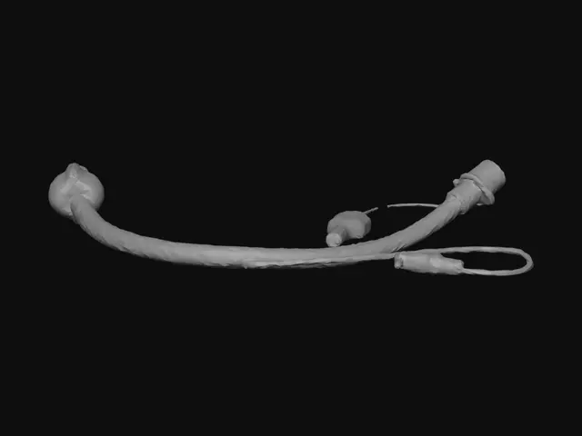 3D model for Endotracheal tube with inflation line