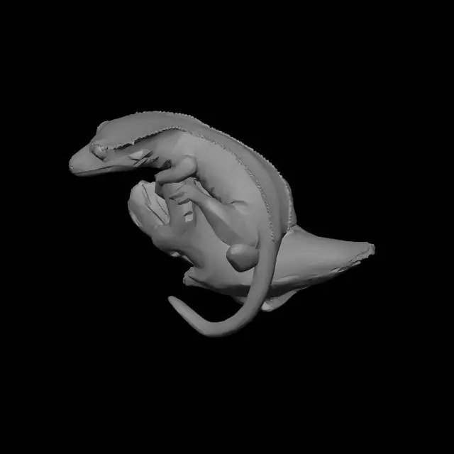 3D model for Hollow Log Gecko