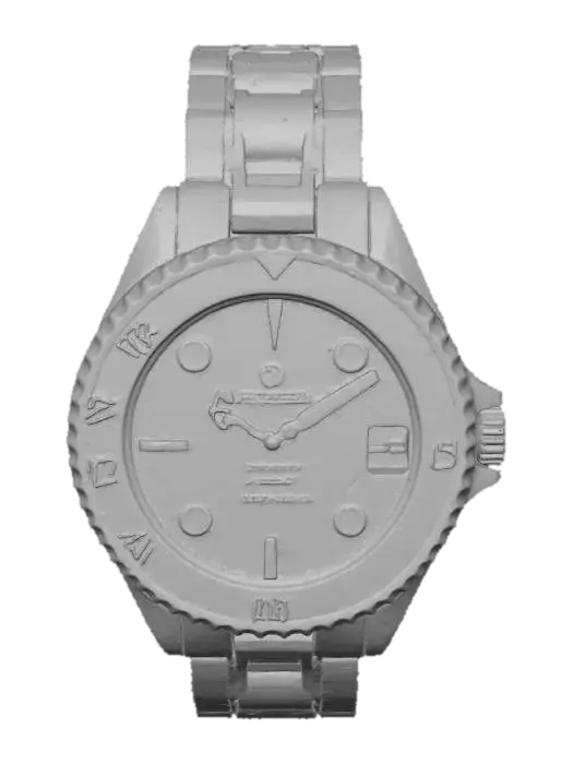 3D model for Steinhart Ocean Watch