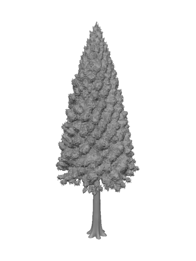3D model for Roadside Evergreen