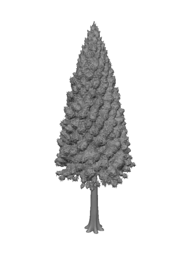 3D model for Roadside Evergreen