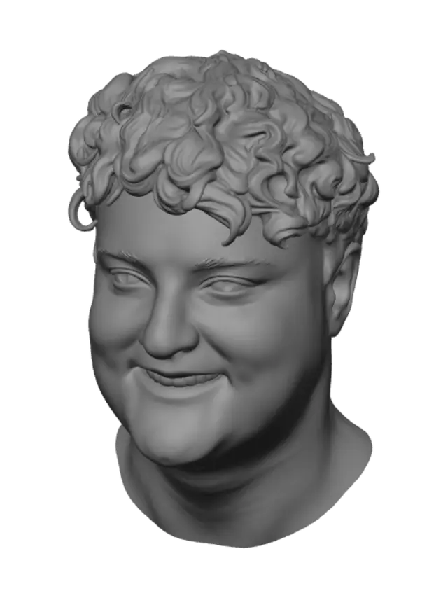 3D model for Curly Hair Portrait
