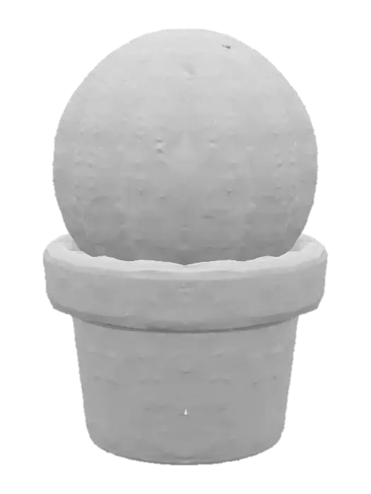 3D model for Cactus