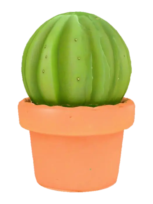 3D model for Cactus