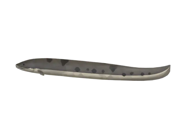 3D model for Spotted Brown Eel